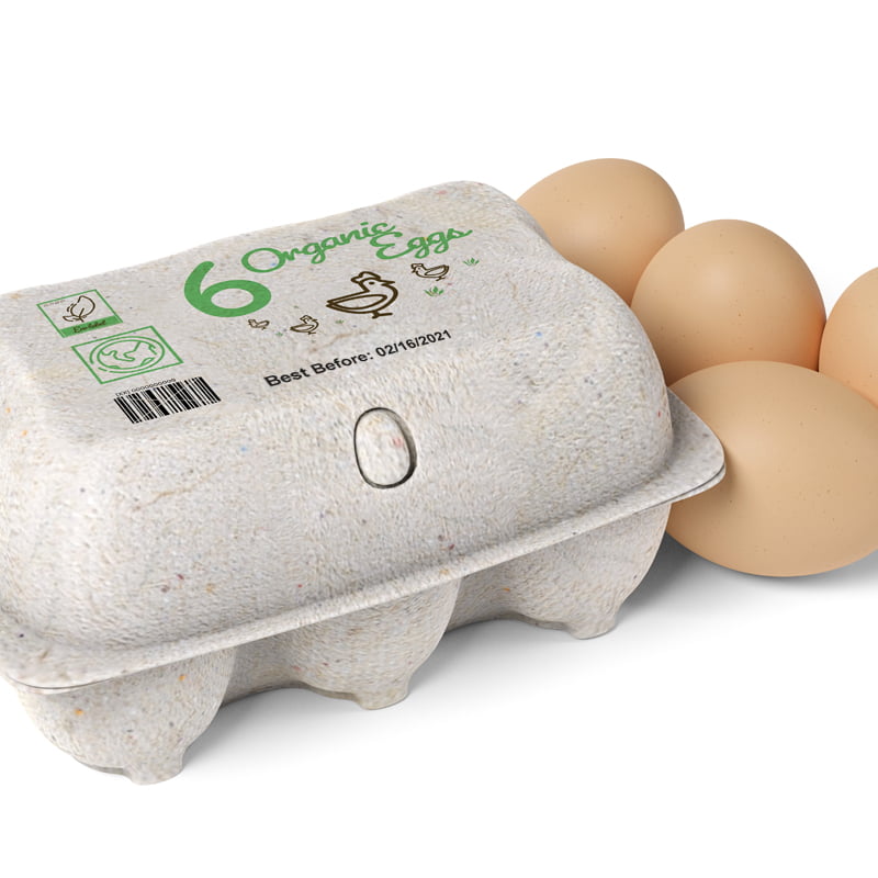 egg carton_800_4