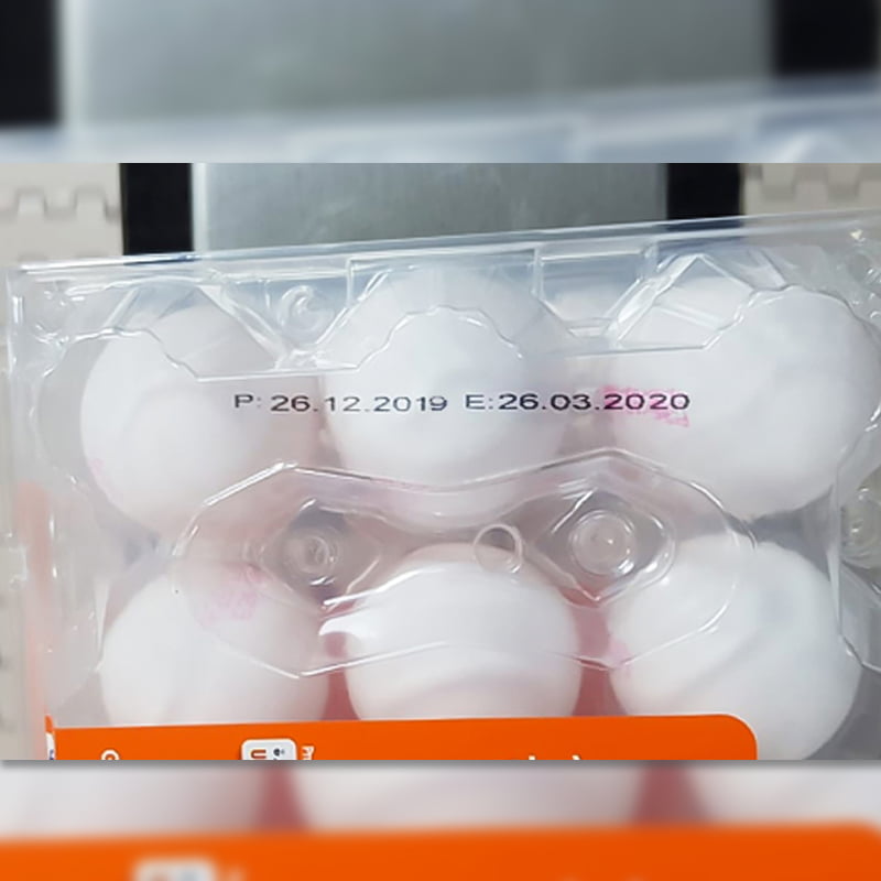 egg plastic_800_4