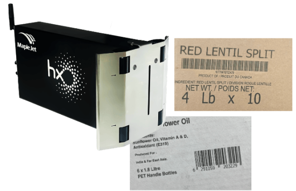 Hx megalo with prints (1)